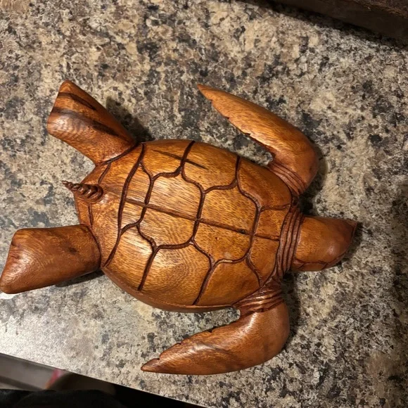 Artisan Carved Turtle Decor bowl in Rich Brown - Picture 4 of 4